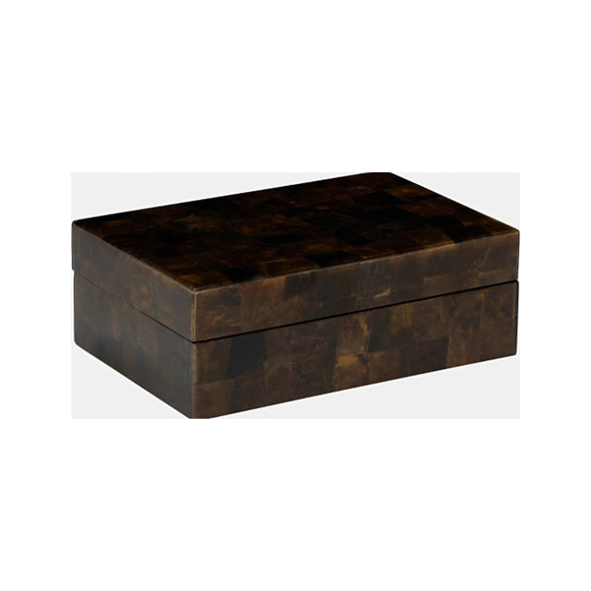 Shell Veneer Box on a white background