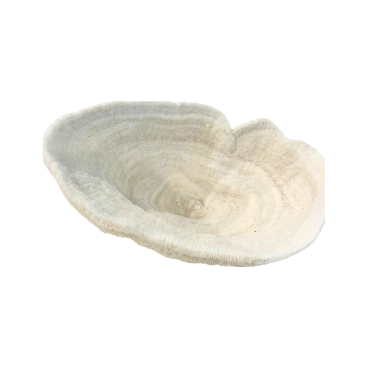 Large White Coral Decorative Bowl on a white background