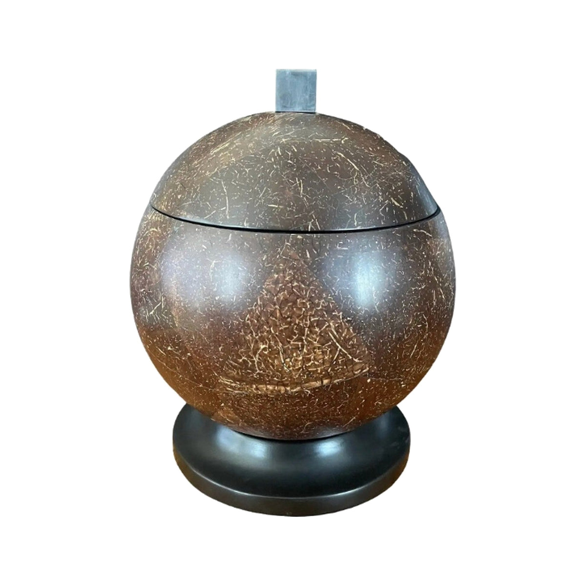 Coconut Shell Rounded Box on a white background