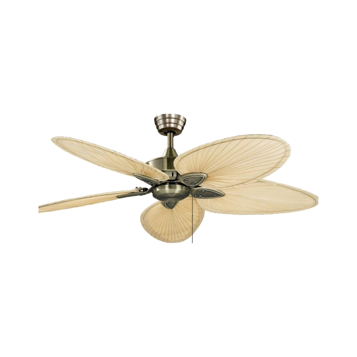Palm Indoor Fan on a white background
