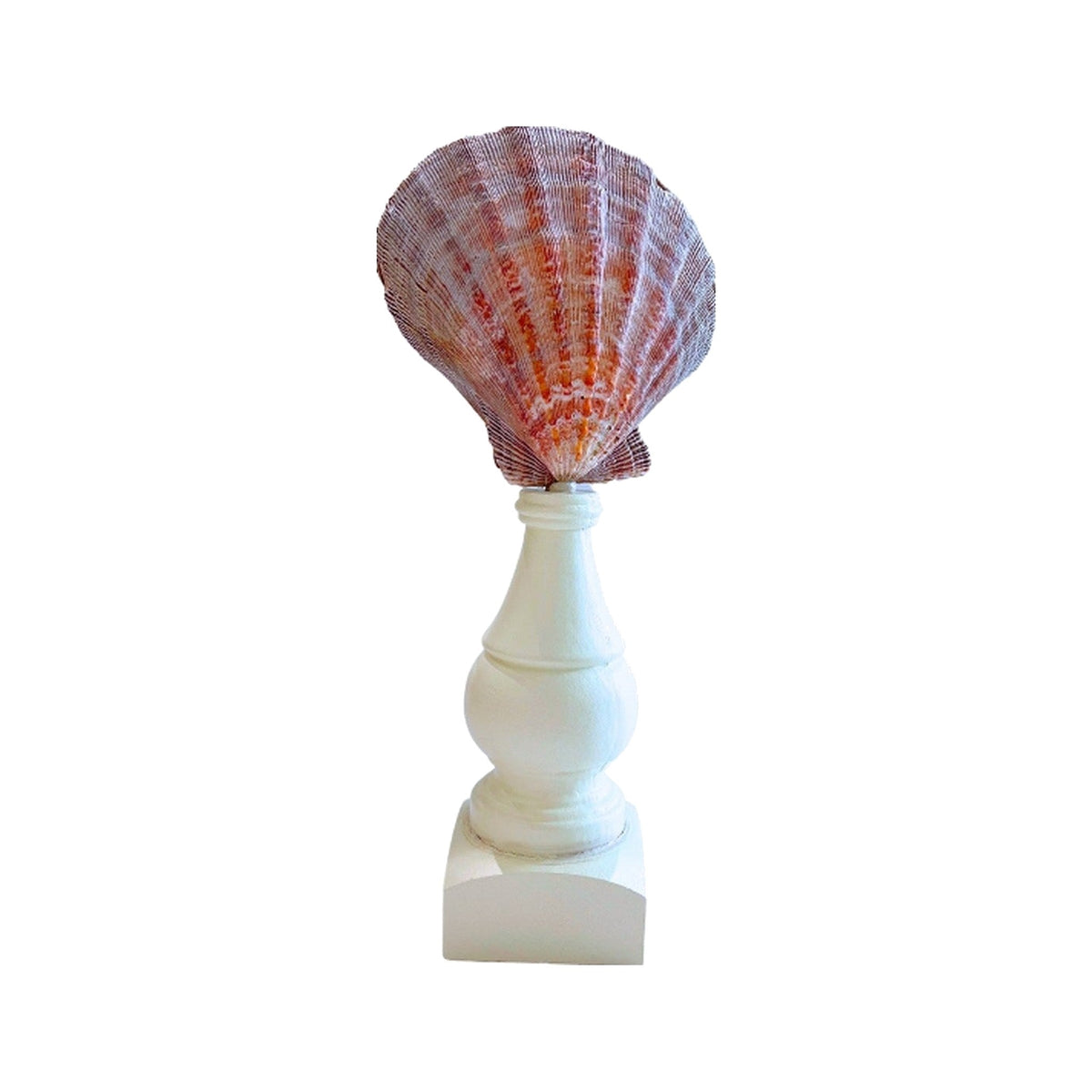 Scalloped Seashells On Stand on a white background