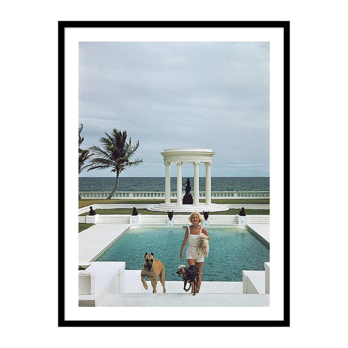 Framed photograph: C.Z. Dogs by Slim Aarons