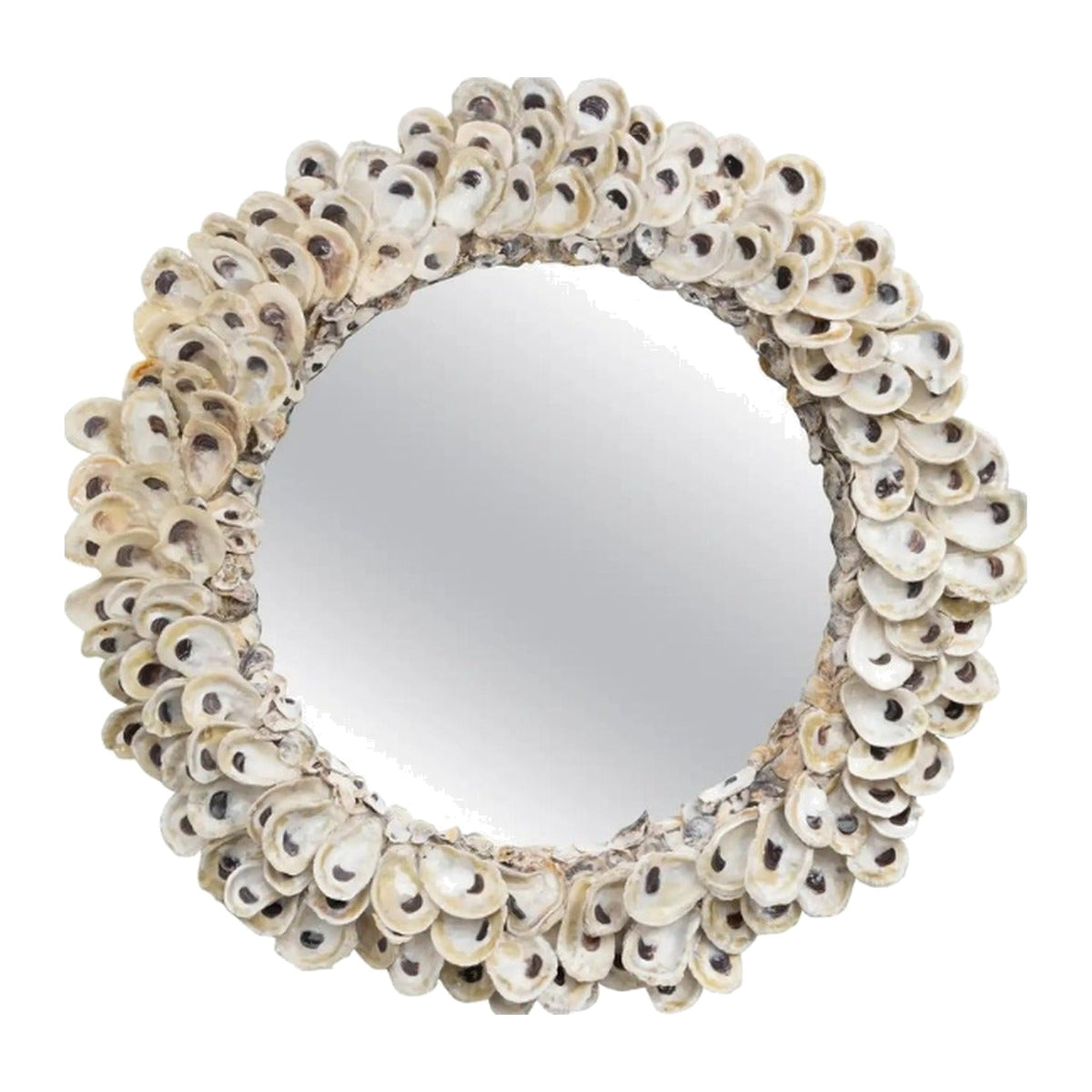 Oyster Shell Mirror