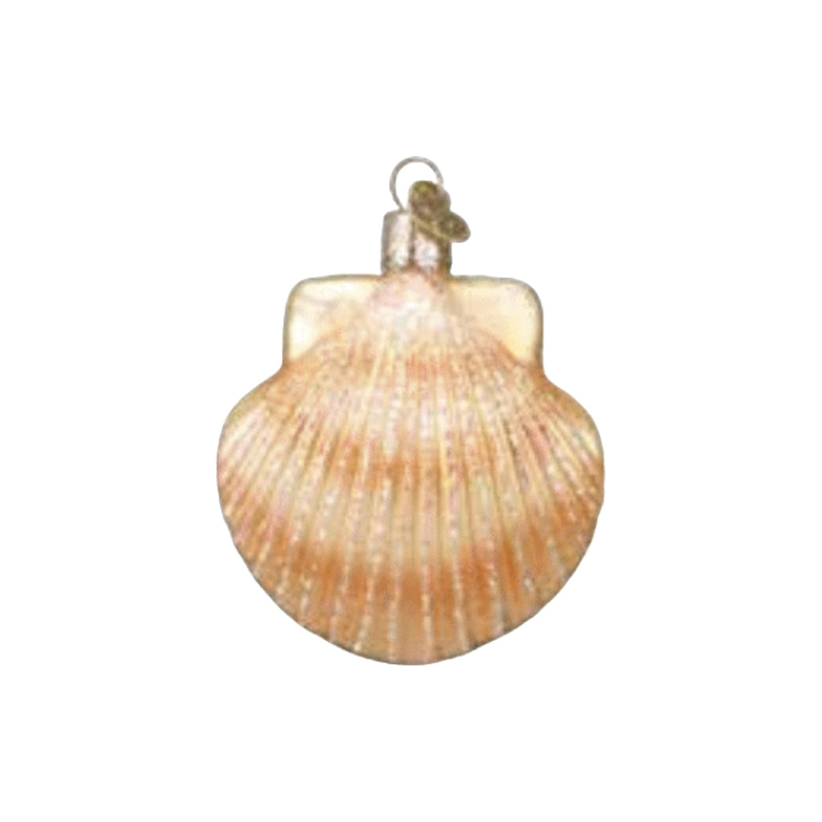 Scallop Shell Ornament