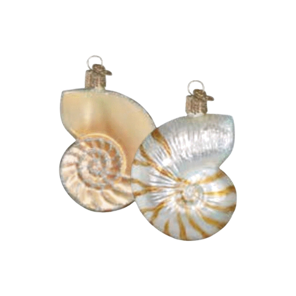 Nautilus Shell Ornament