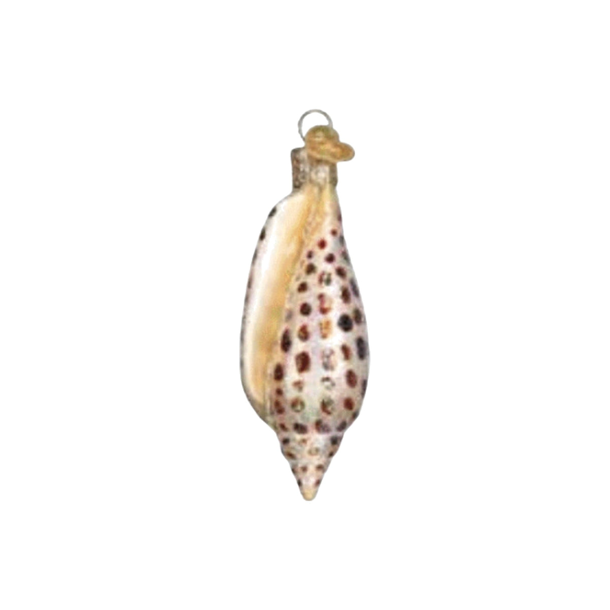 Junonia Shell Ornament