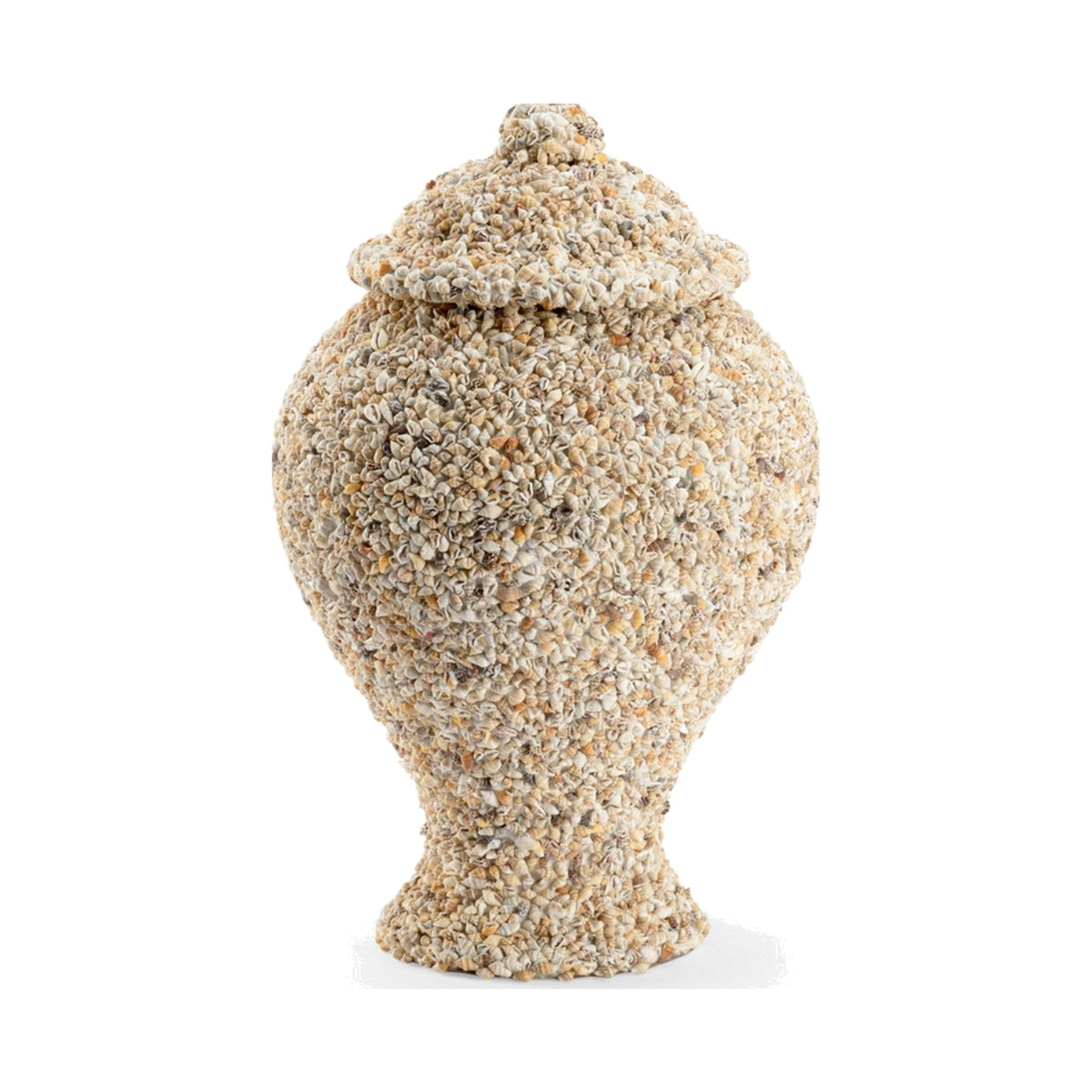 Shell Covered Urn on a white background