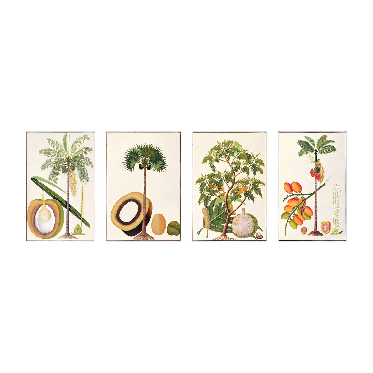 Anglo Indian tree prints shown together as a set