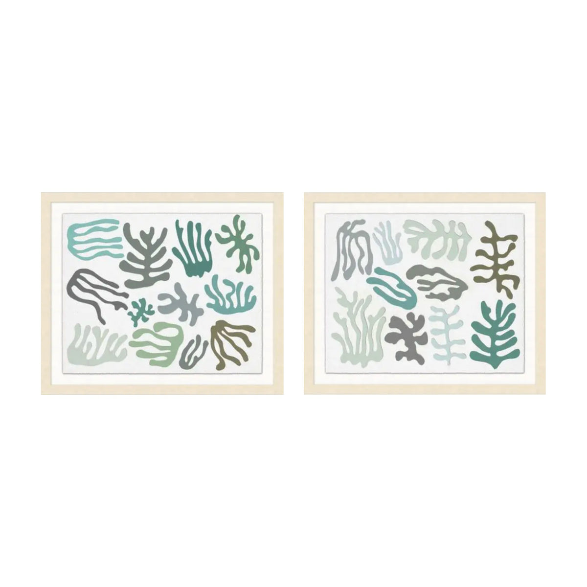 Mid-century coral impressions shown together as a set