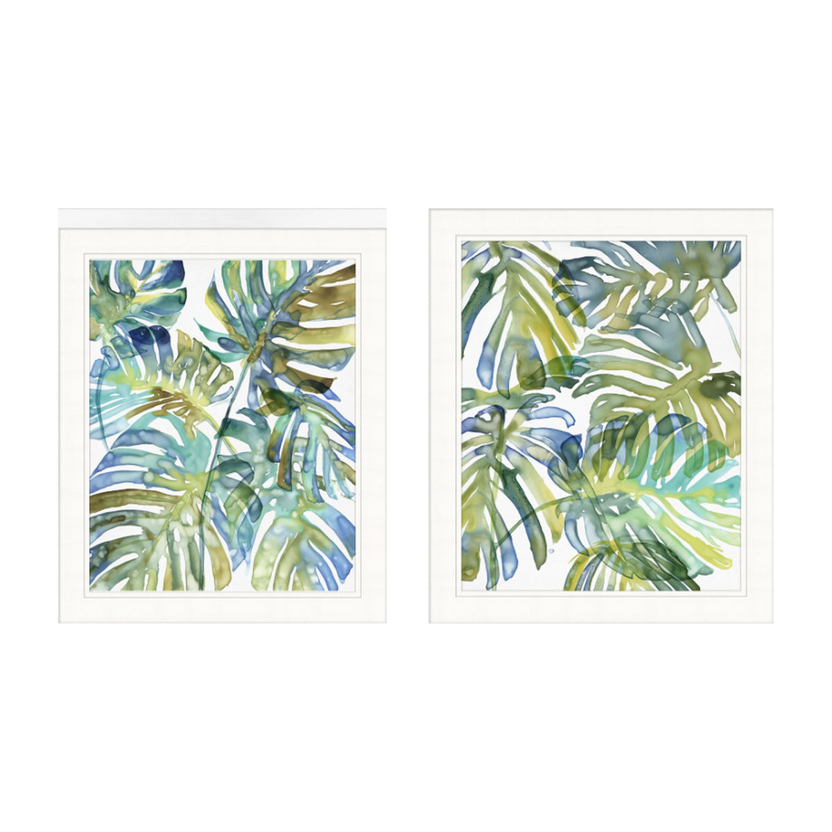 Palm watercolors shown together as a set