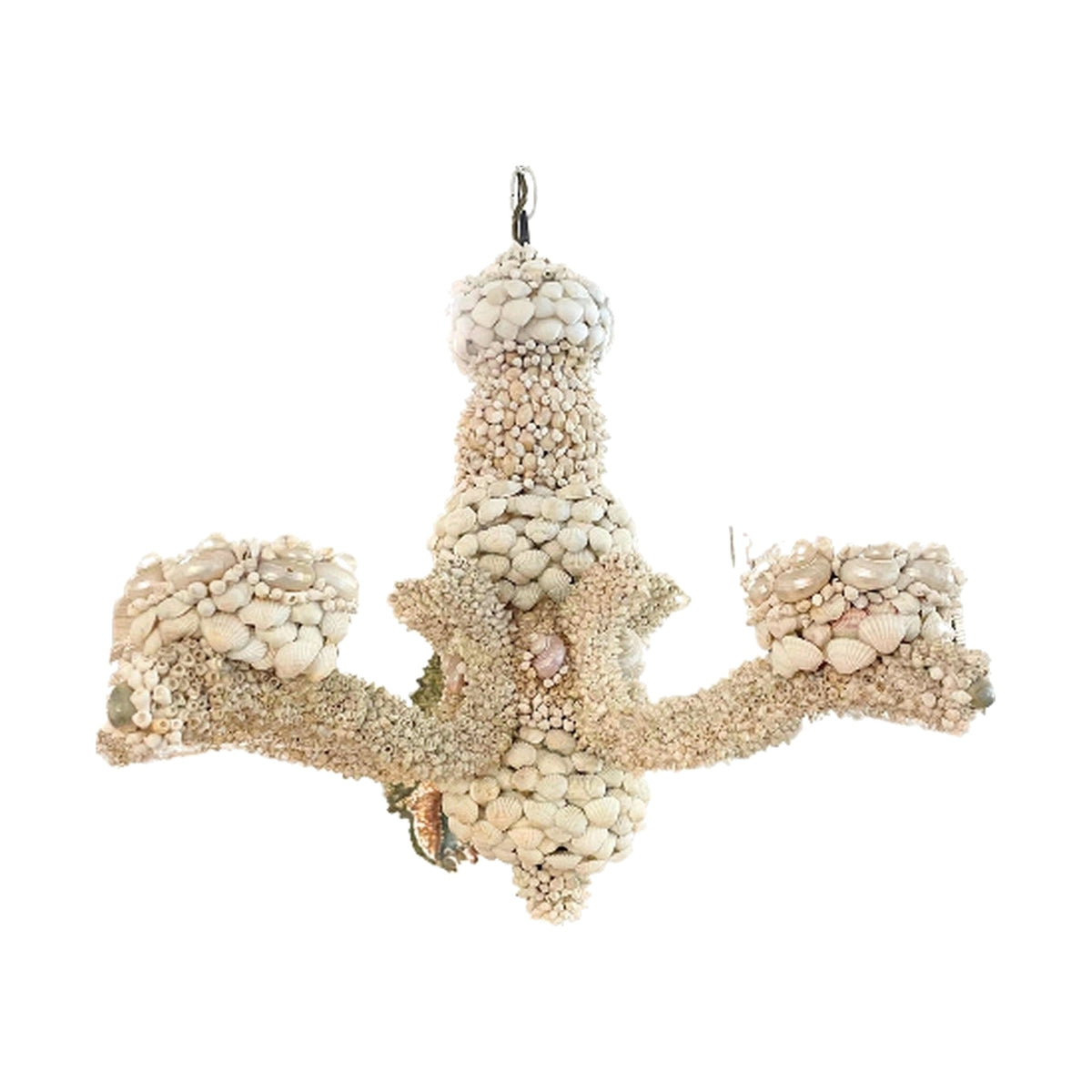 Shell Pendant ceiling light on white