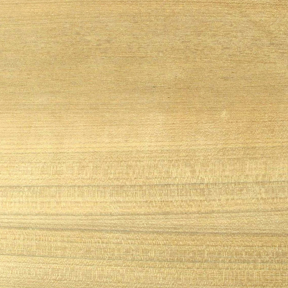 Teak Chatter Table on a white background