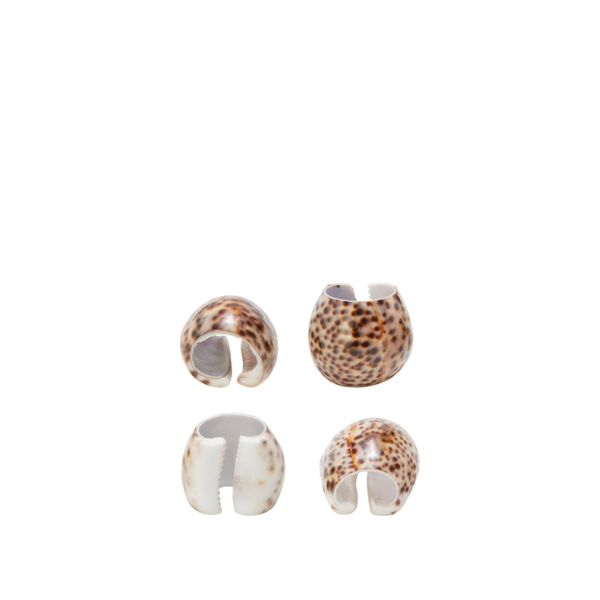 Tiger Cowrie Shell Napkin Holders, Set of 4, shown on a white background