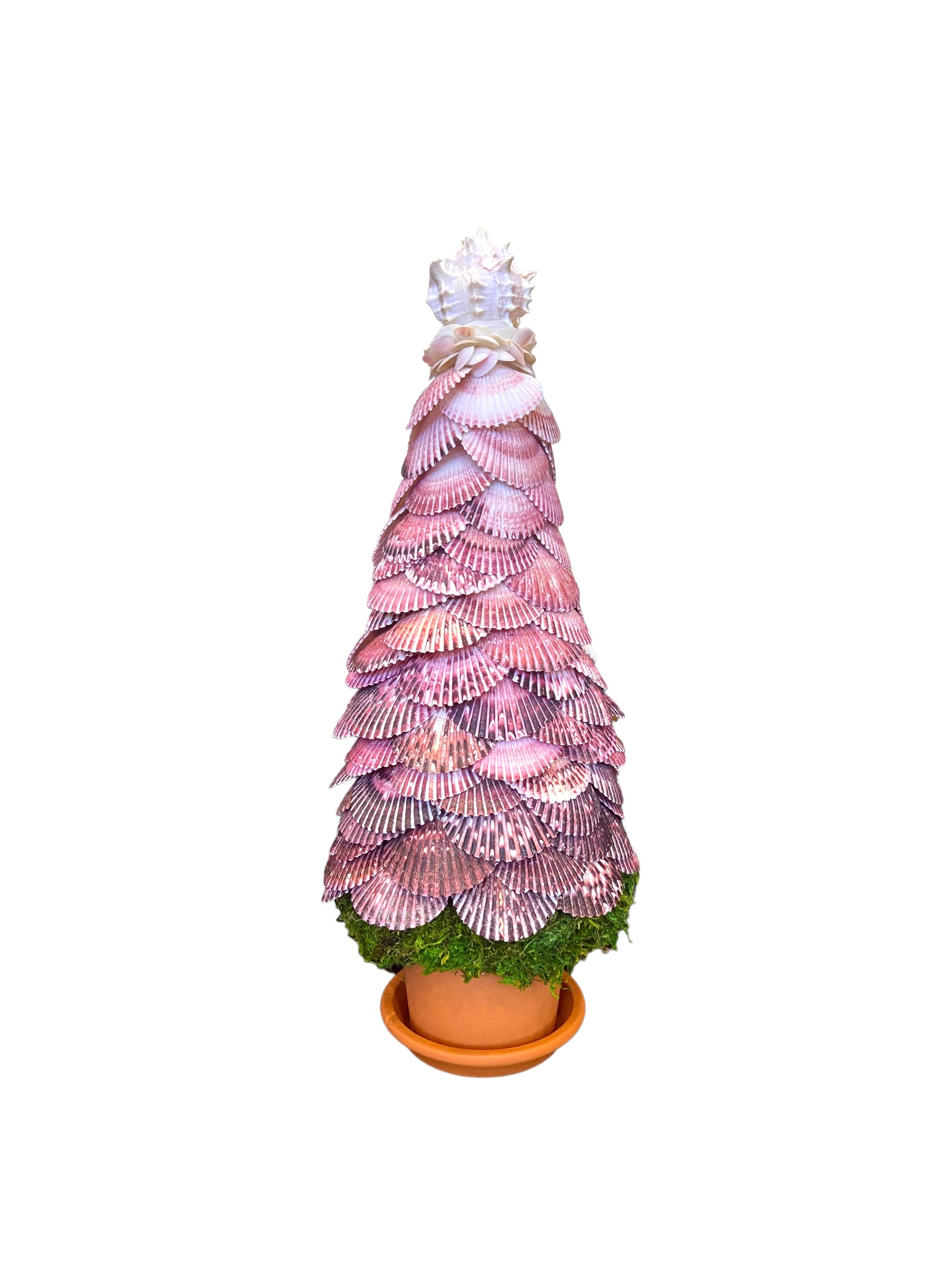 Seashell Topiary