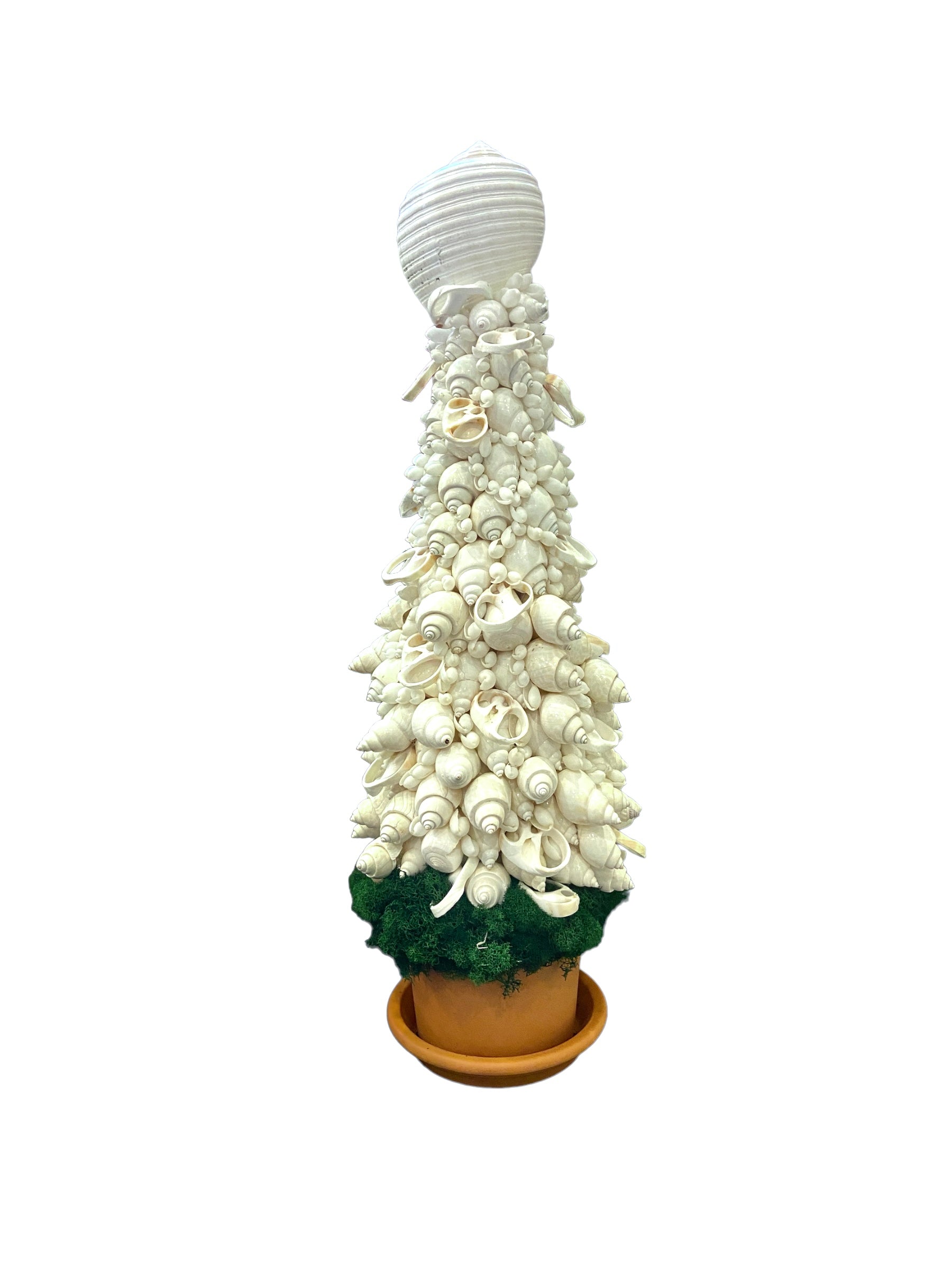 Seashell Topiary