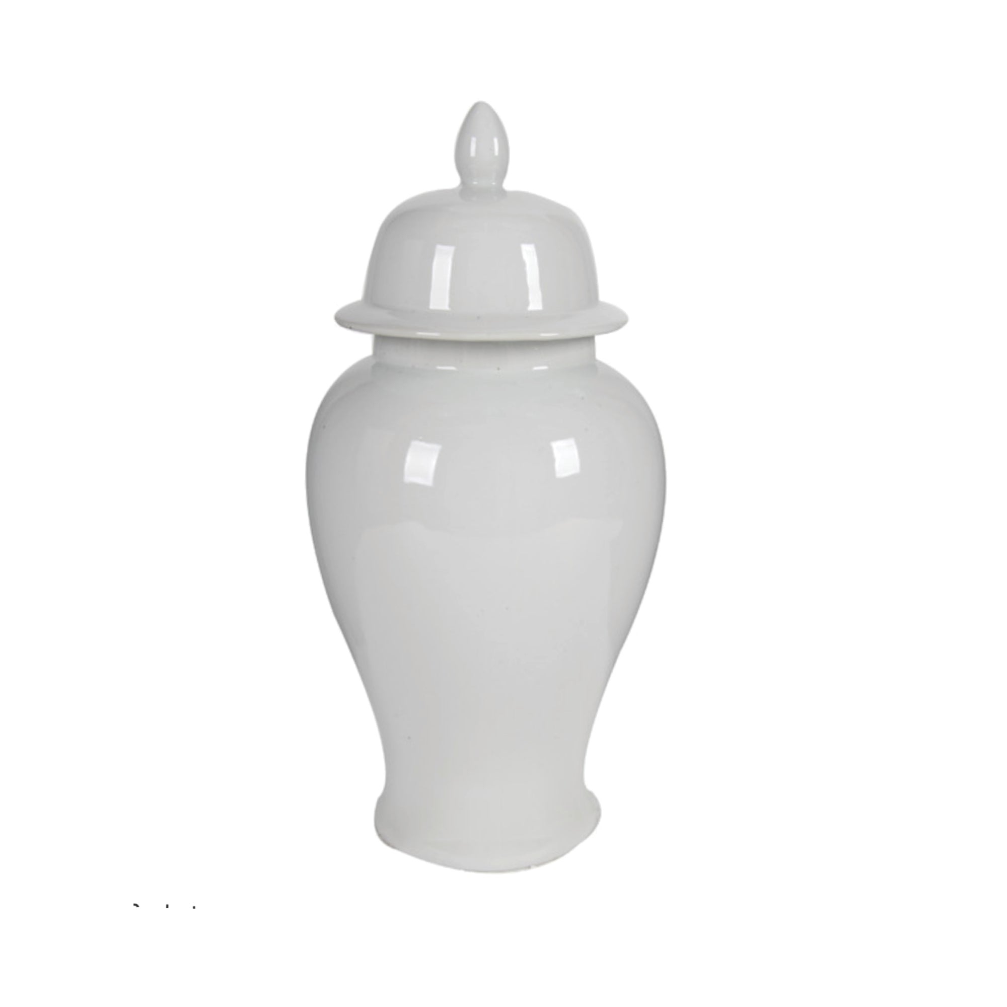 Porcelain Ginger Jar