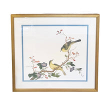 "White Eye Bird" Ch'ien-lung Period, Giclee Print