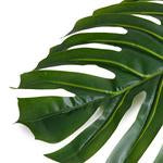 Large Faux Monstera Leaf