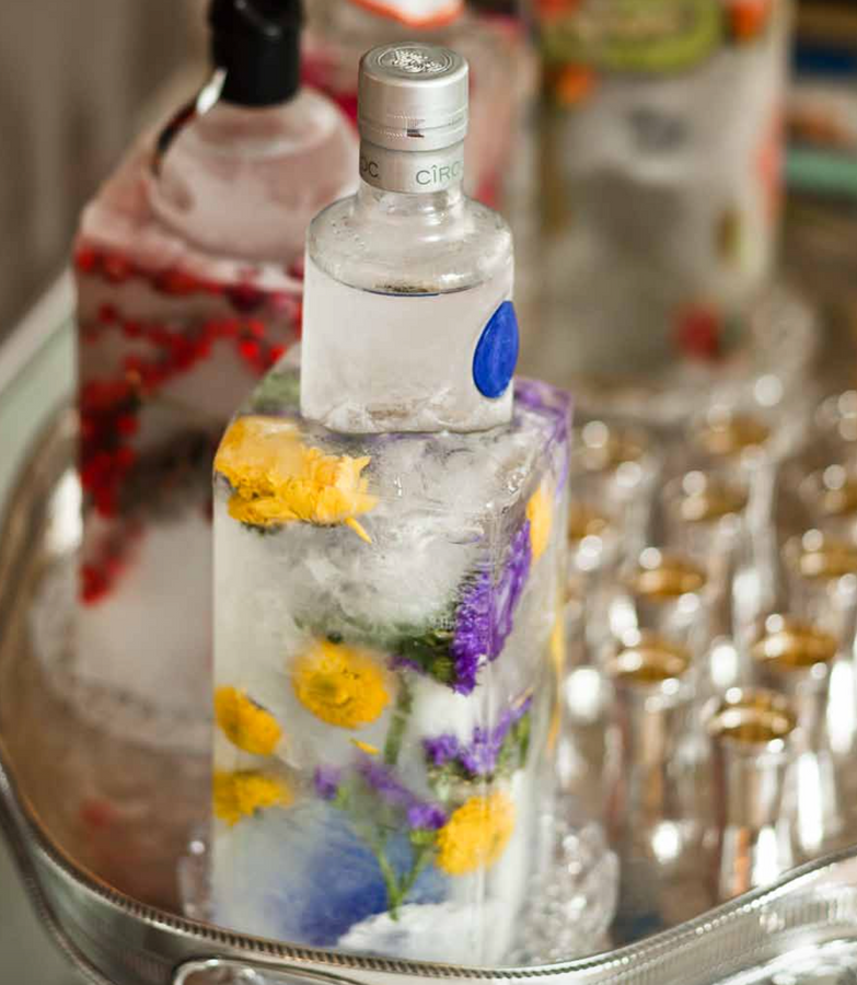 Impress Your Party Guests: Decorative, Frozen Bottle