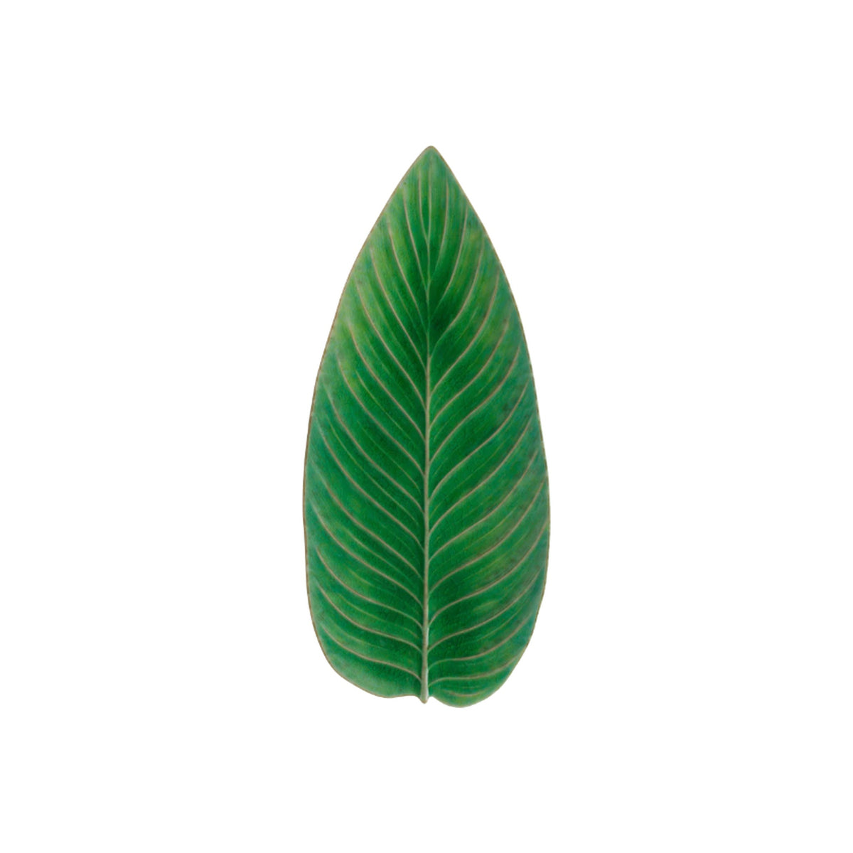Riviera Strelitzia Leaf Platter, shown alone on a white background