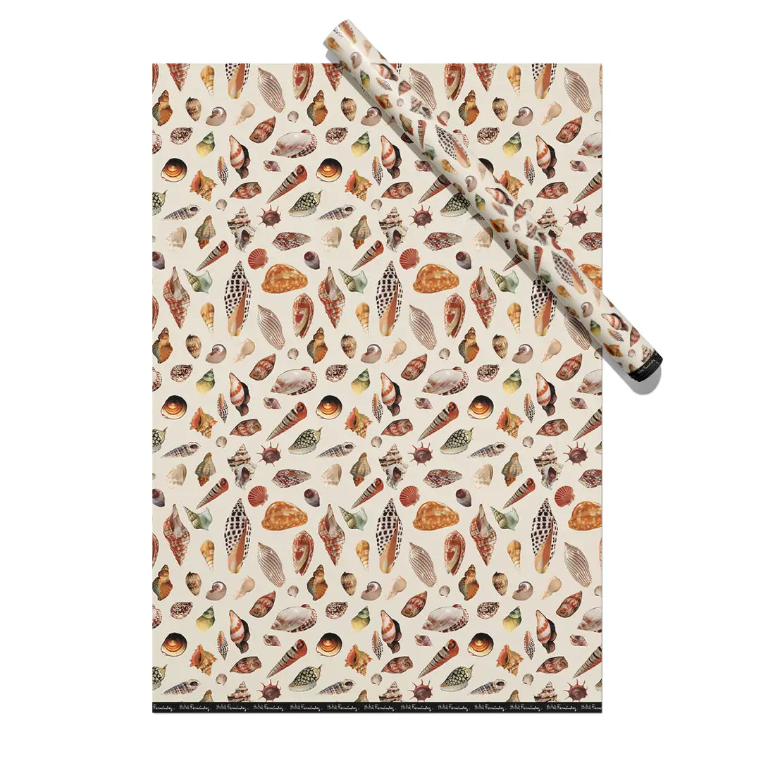 Beach Shells Gift Wrapping Paper Roll Hand Designed Sheets