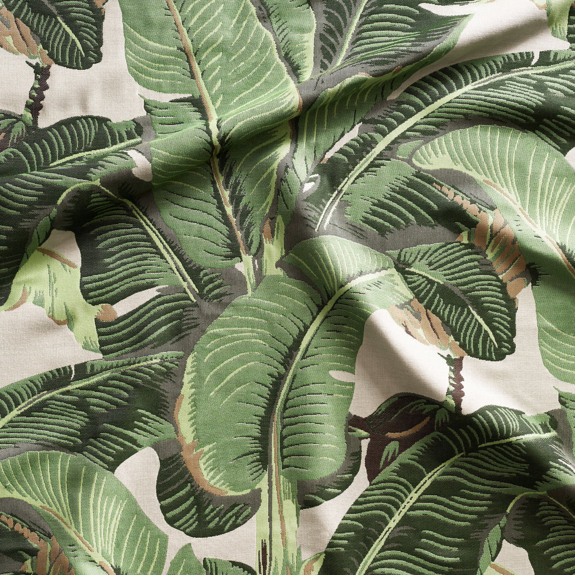 Martinique® Indoor/Outdoor Fabric by Sunbrella® – Danielle Rollins Brands  LLC