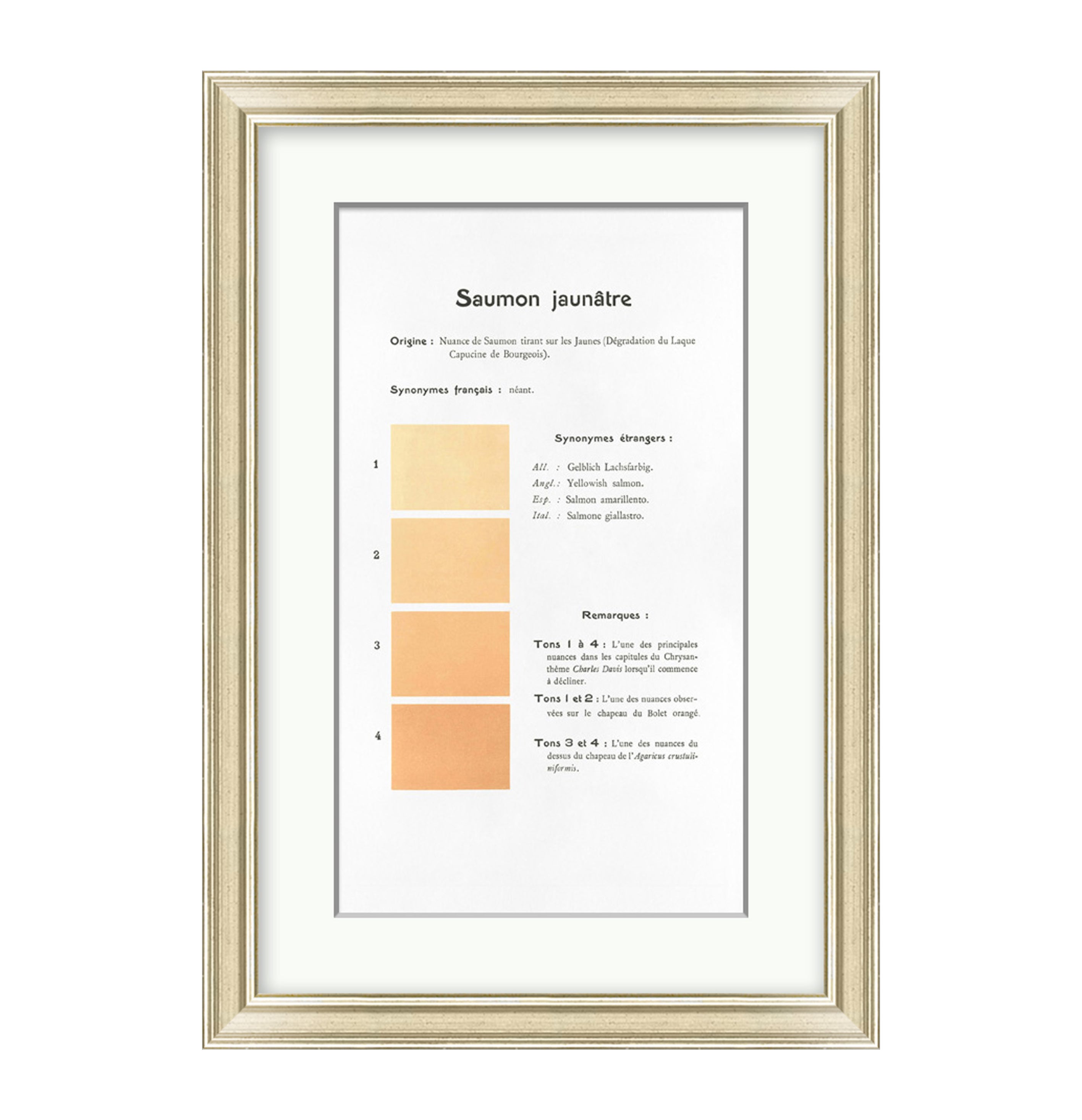 Danielle Rollins French Historical Color Analysis Collection