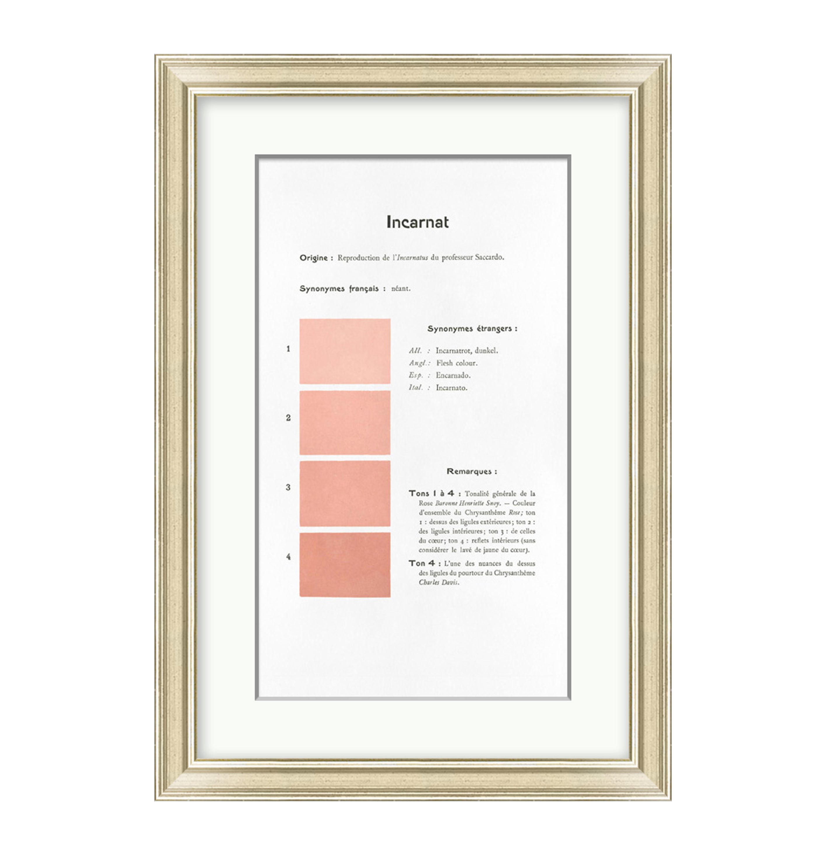 Danielle Rollins French Historical Color Analysis Collection