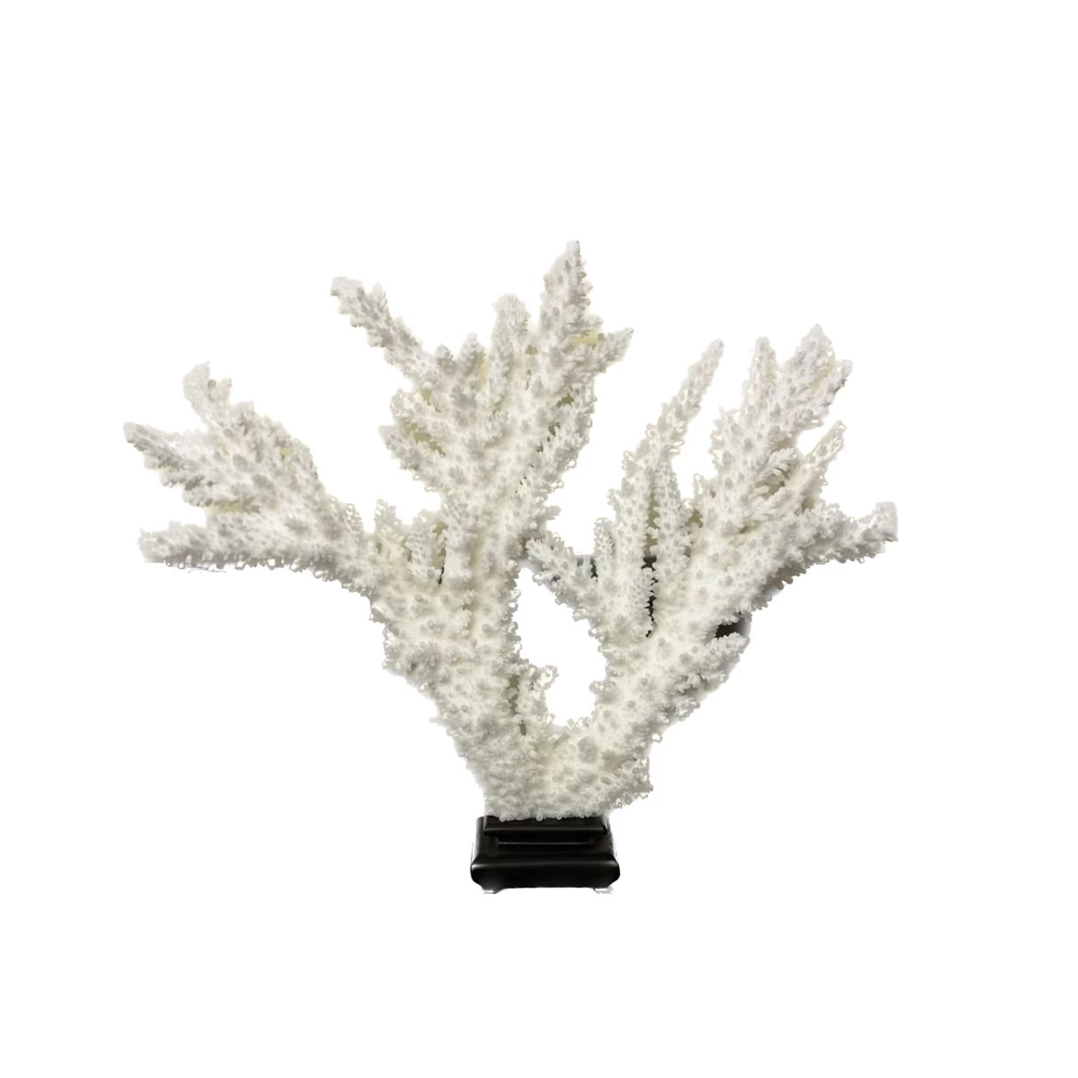 Large Branching Decorative Coral