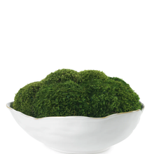 Potter's Bowl with Mood Moss