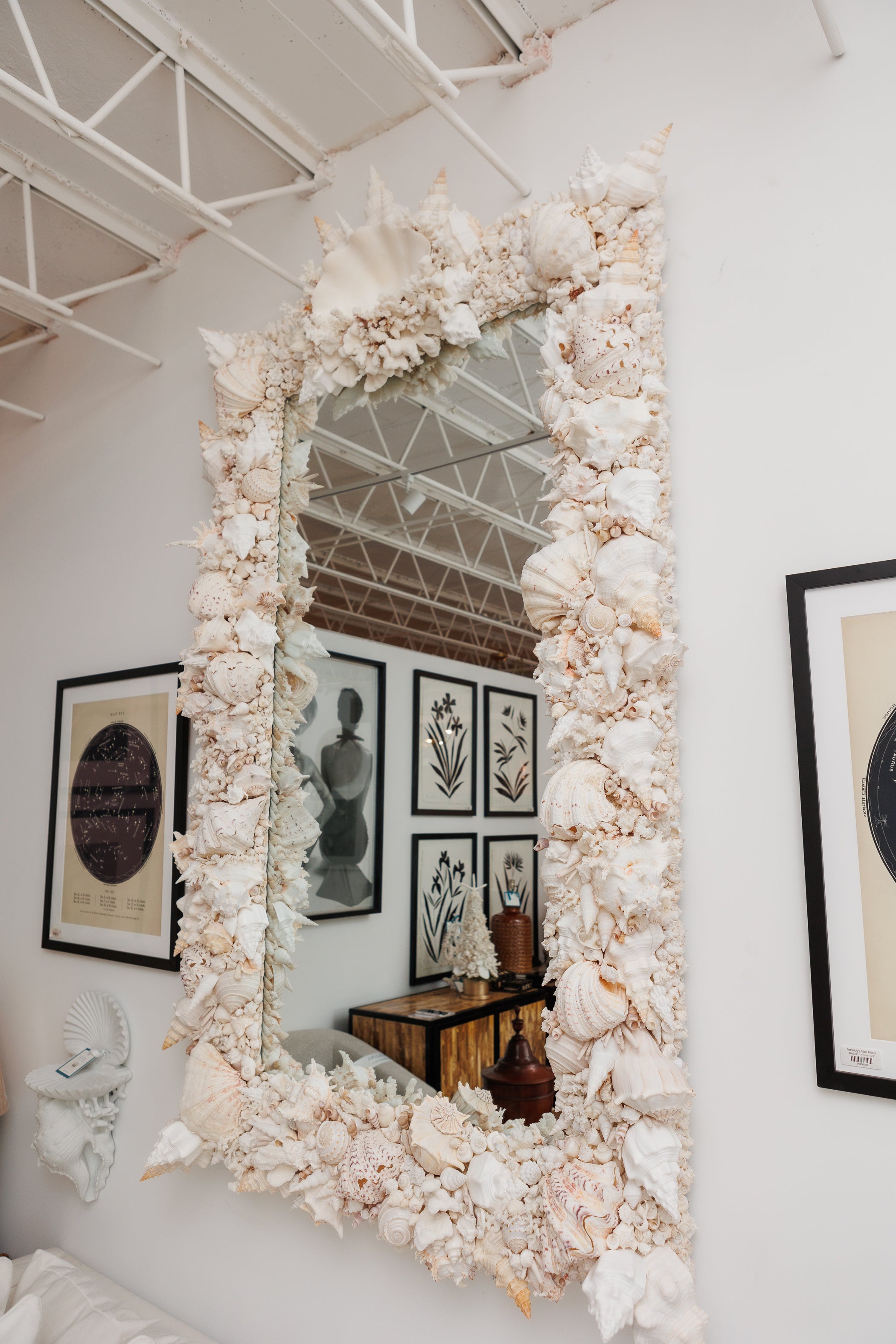 Elaborate King-Sized Coral Shell Specimen Mirror