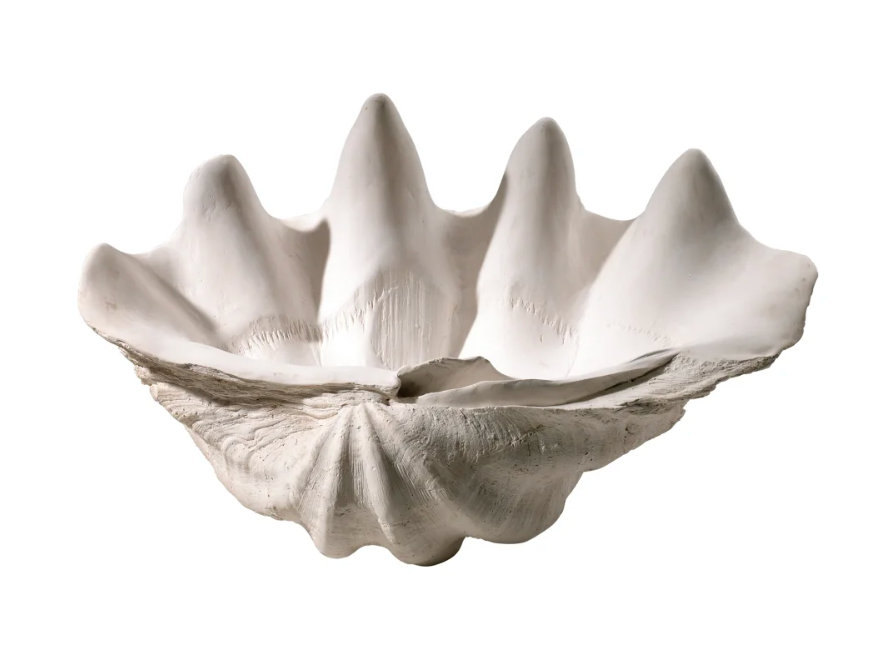 Clam Shell Bowl