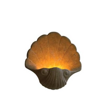 Indoor Outdoor Shell Uplight Sconce