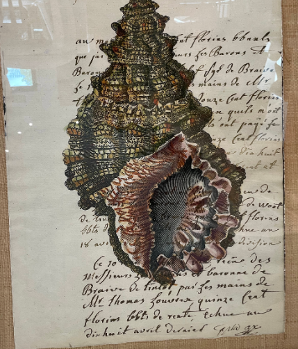 Sorain Manuscript Shell