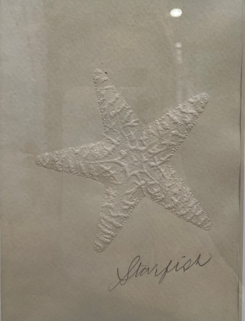 Embossed Starfish