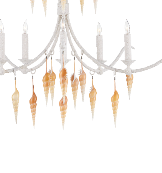 Arcachon Hanging Shell Chandelier