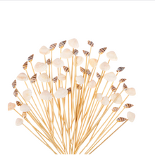 Assorted Seashell Toothpicks, 12 Pack