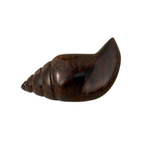 Vintage Ironwood Carved Conch Seashell
