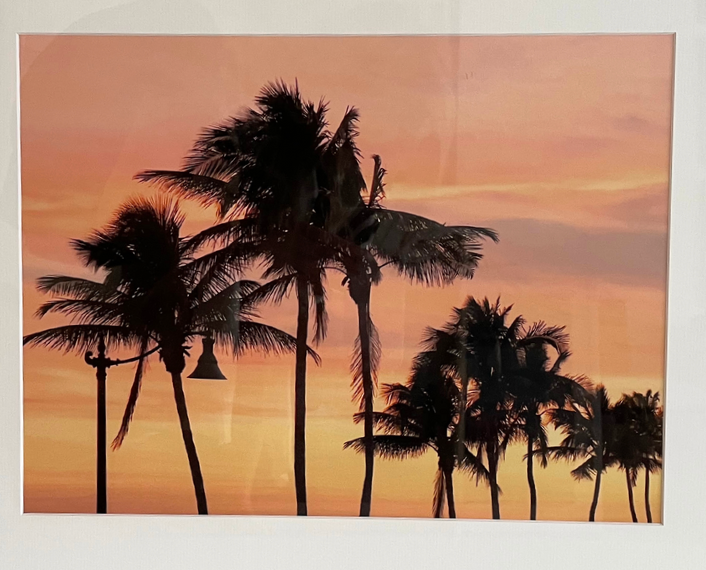 Creamsicle Palms, Palm Beach Large by Alison Stager