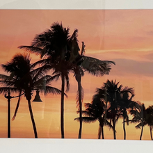 Creamsicle Palms, Palm Beach Large by Alison Stager