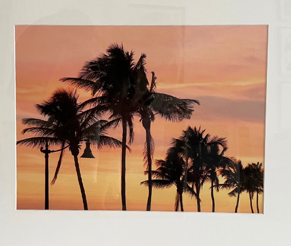 Creamsicle Palms, Palm Beach Small by Alison Stager