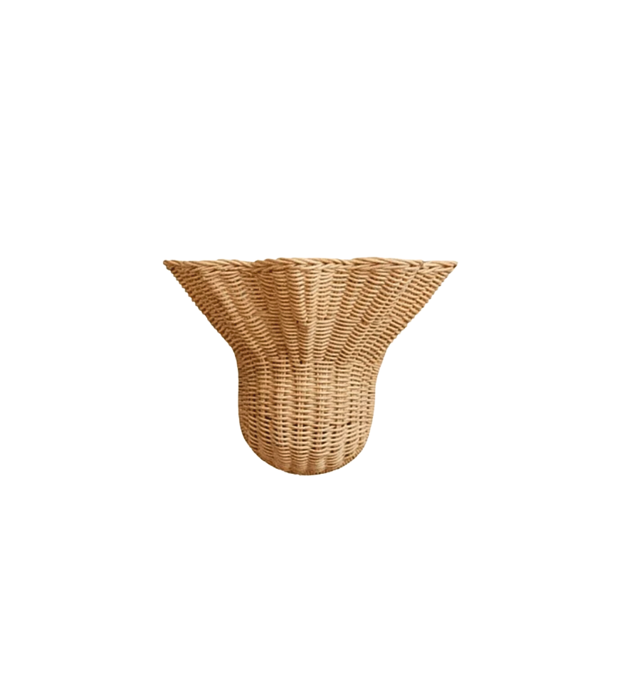 Small Rattan Wall Sconce Shade