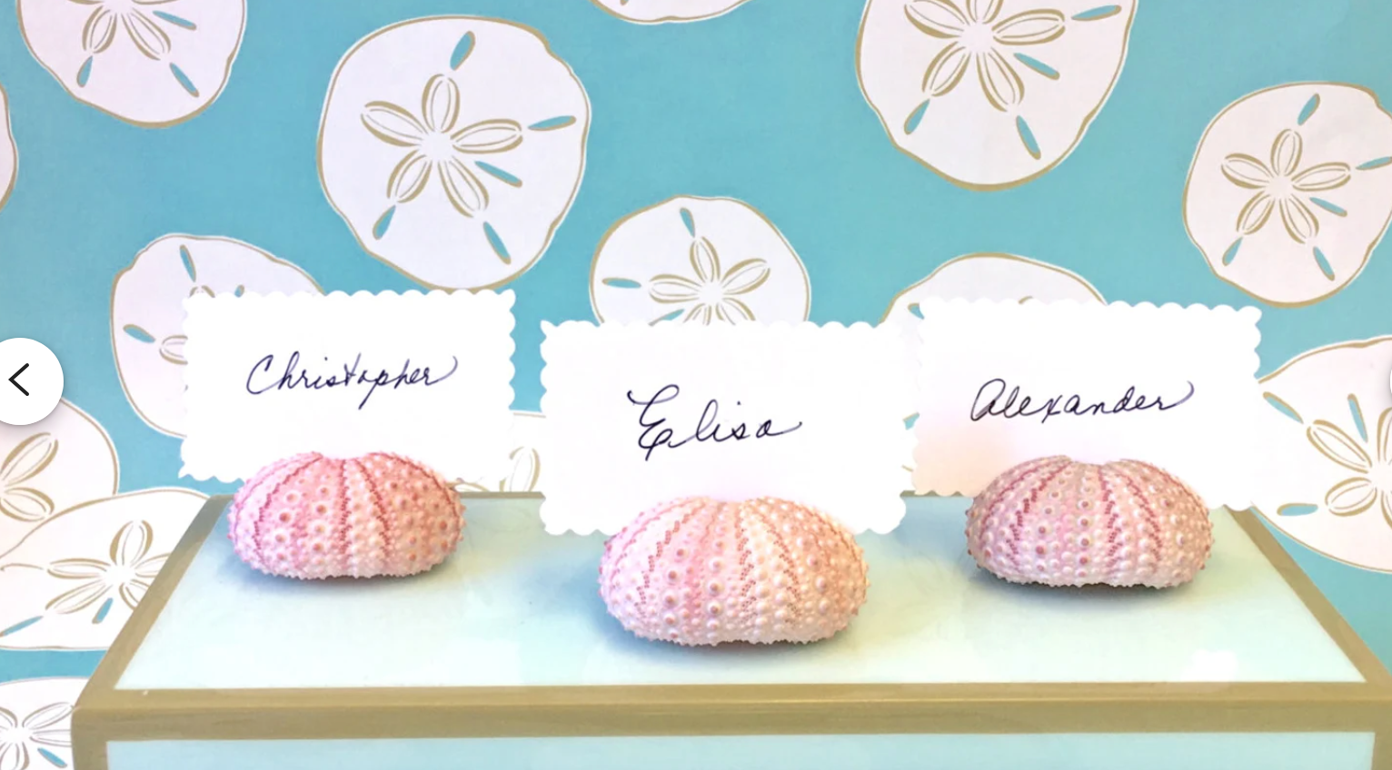 Pink Sea Urchin Place Card Holders, Set of 4