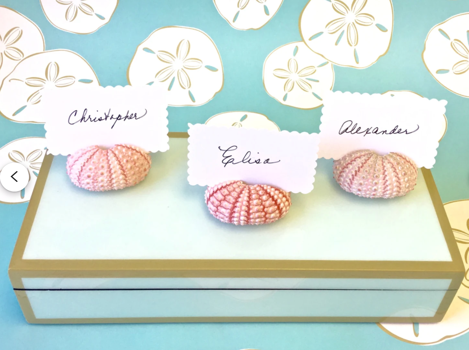 Pink Sea Urchin Place Card Holders, Set of 4