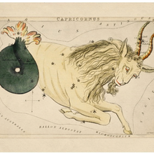 Custom Framed Antique Capricorn Zodiac Print