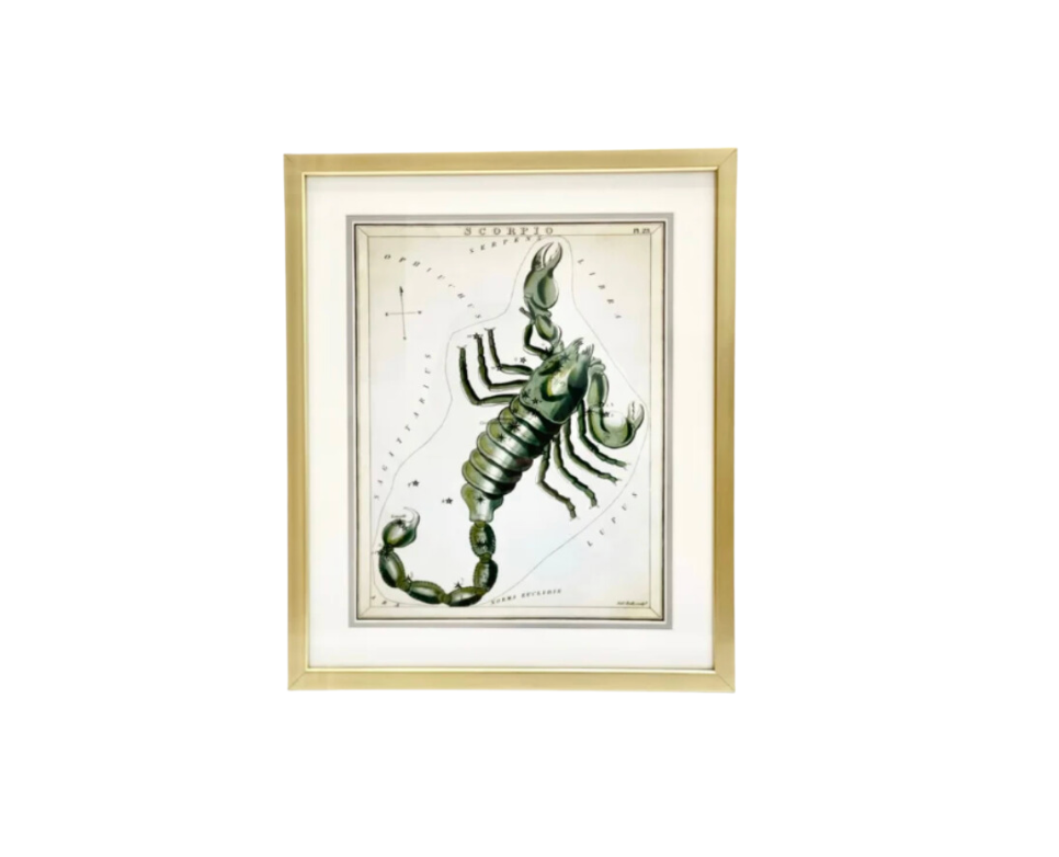 Custom Framed Antique Scorpio Zodiac Print