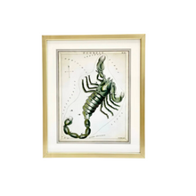 Custom Framed Antique Scorpio Zodiac Print