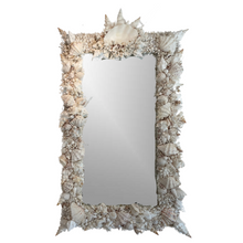 Elaborate King-Sized Coral Shell Specimen Mirror