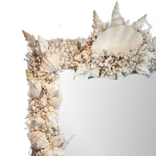 Elaborate King-Sized Coral Shell Specimen Mirror