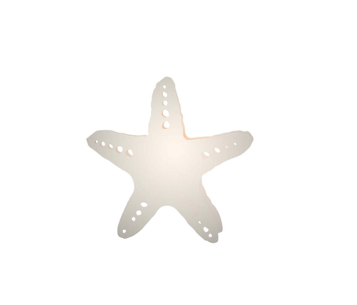 White Starfish Place Cards, Bundle of 8